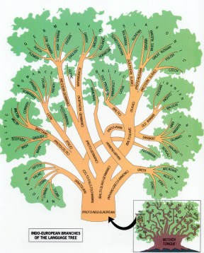 tree of languages, indo-european