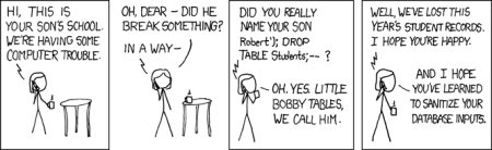 SQL Injection comic via XKCD.COM